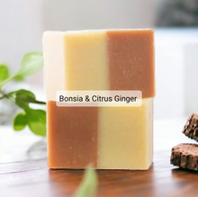 Load image into Gallery viewer, Natural & Nourishing Soap Bars
