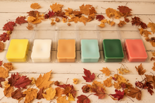 Load image into Gallery viewer, Witchy Wax 74g