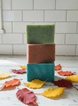 Load image into Gallery viewer, Natural &amp; Nourishing Soap Bars
